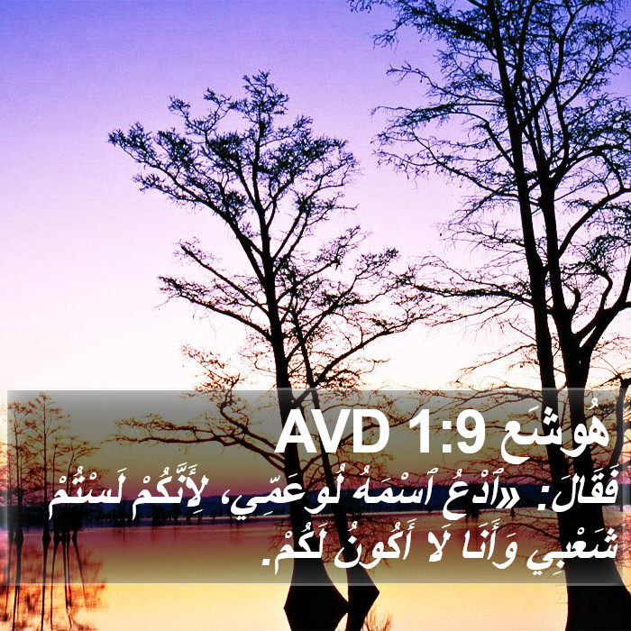 هُوشَع 1:9 AVD Bible Study