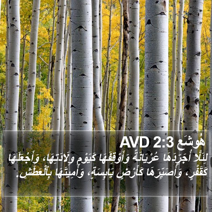 هُوشَع 2:3 AVD Bible Study