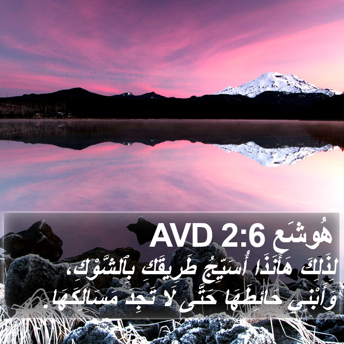 هُوشَع 2:6 AVD Bible Study