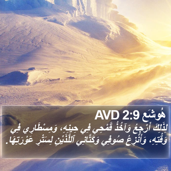 هُوشَع 2:9 AVD Bible Study