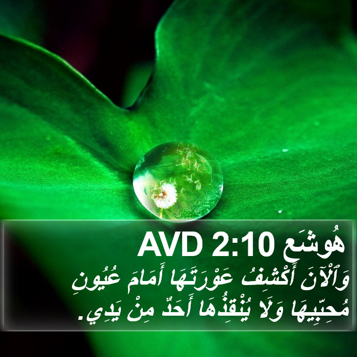 هُوشَع 2:10 AVD Bible Study