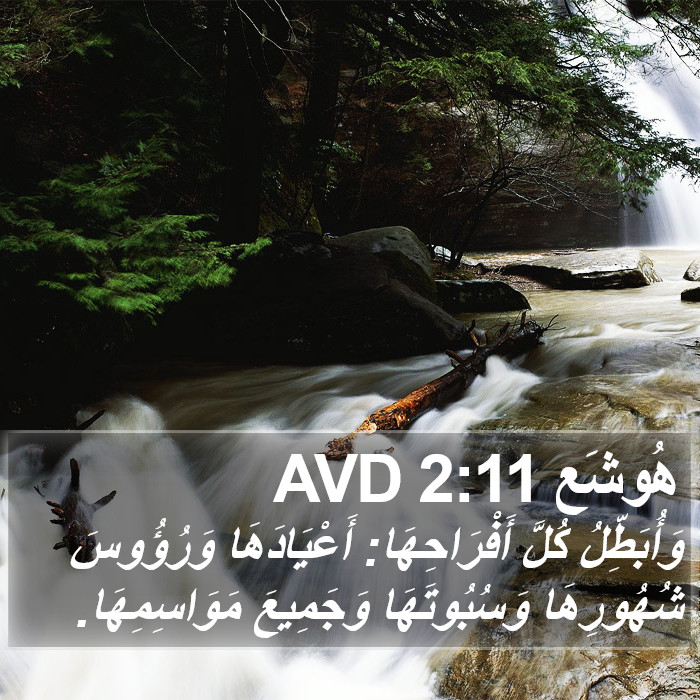 هُوشَع 2:11 AVD Bible Study