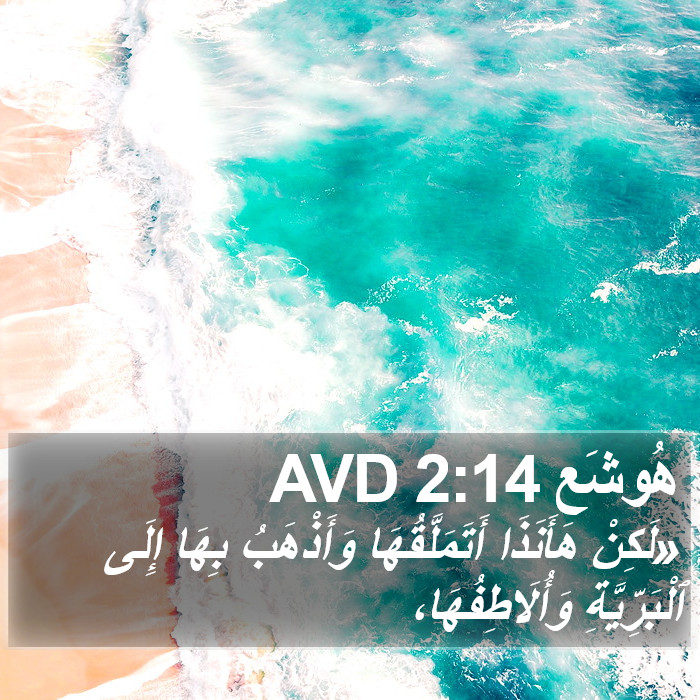 هُوشَع 2:14 AVD Bible Study