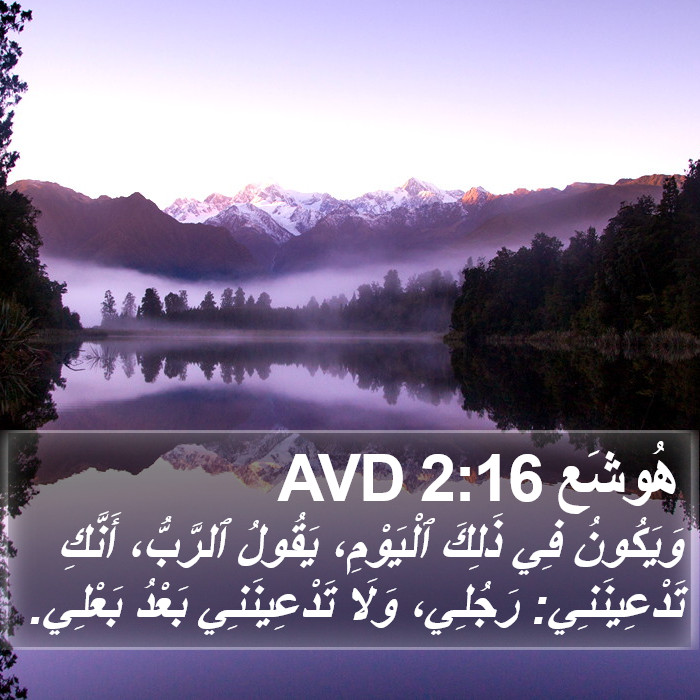 هُوشَع 2:16 AVD Bible Study