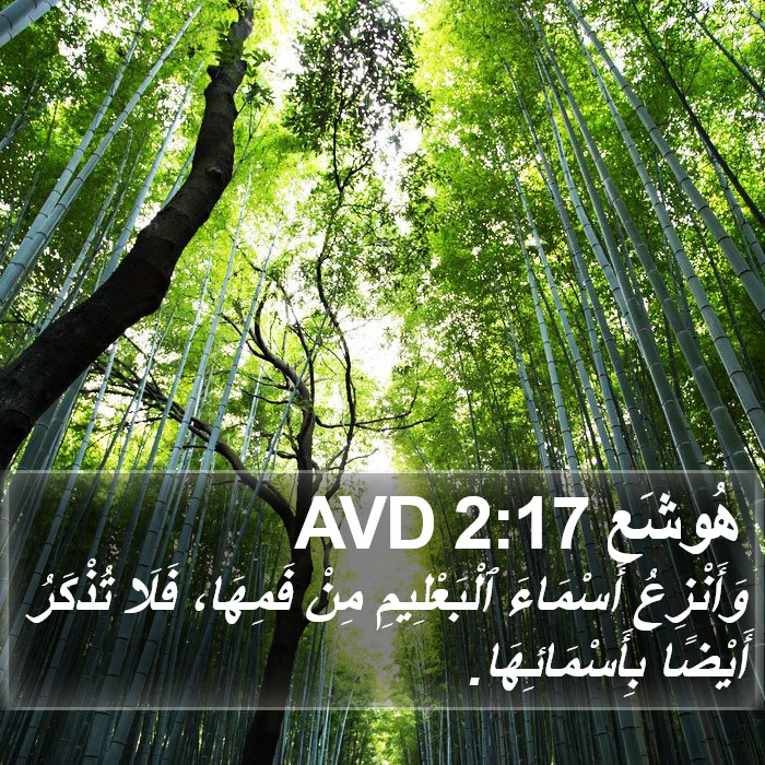 هُوشَع 2:17 AVD Bible Study