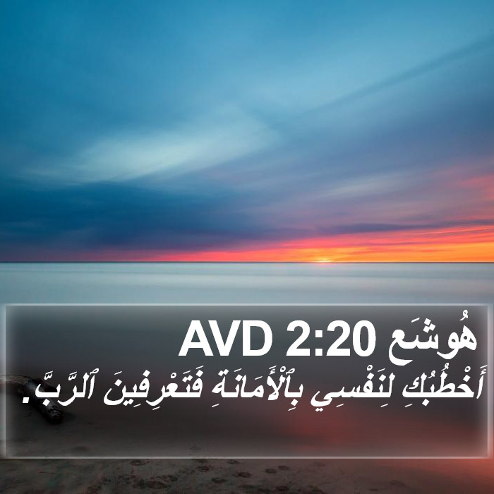 هُوشَع 2:20 AVD Bible Study