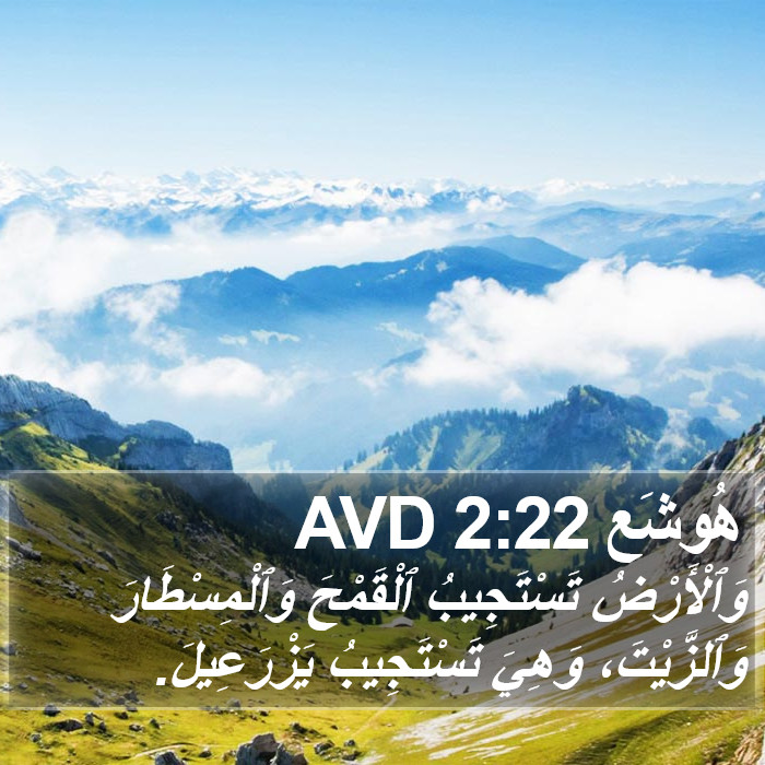 هُوشَع 2:22 AVD Bible Study