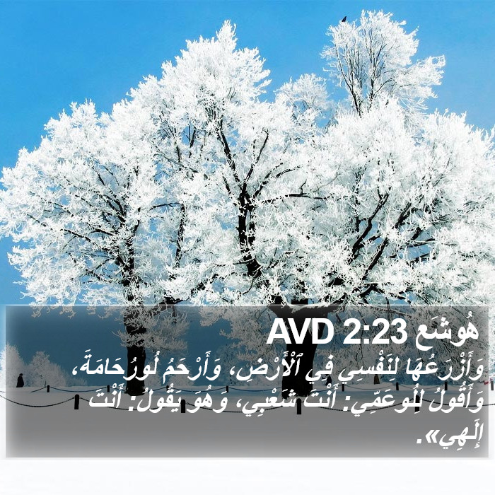 هُوشَع 2:23 AVD Bible Study