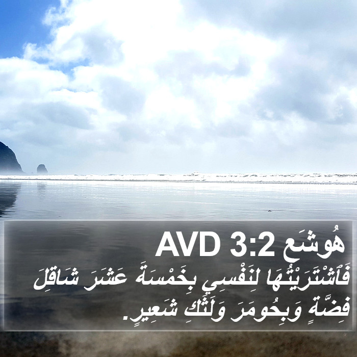 هُوشَع 3:2 AVD Bible Study