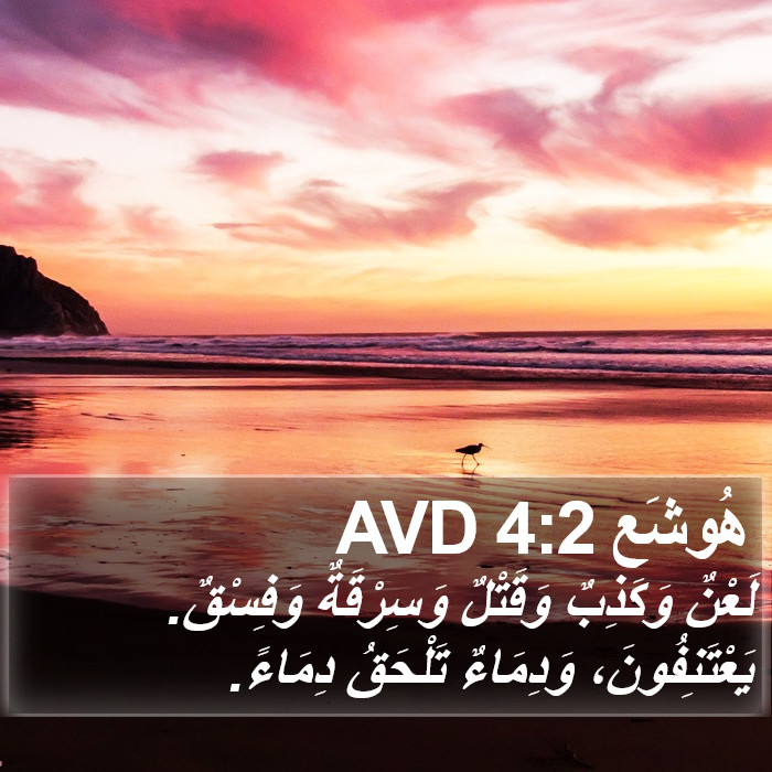 هُوشَع 4:2 AVD Bible Study