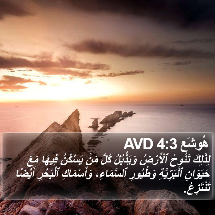 هُوشَع 4:3 AVD Bible Study