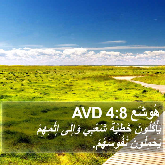 هُوشَع 4:8 AVD Bible Study