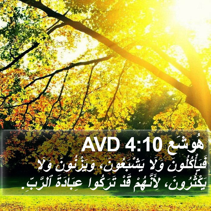 هُوشَع 4:10 AVD Bible Study