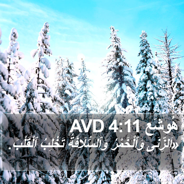 هُوشَع 4:11 AVD Bible Study