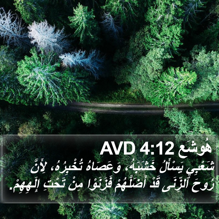 هُوشَع 4:12 AVD Bible Study