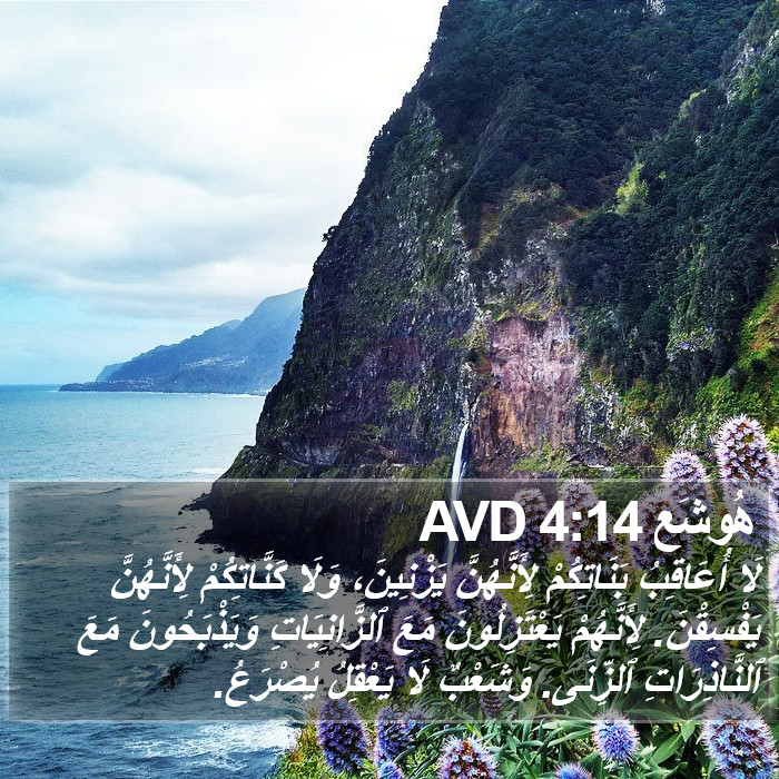 هُوشَع 4:14 AVD Bible Study