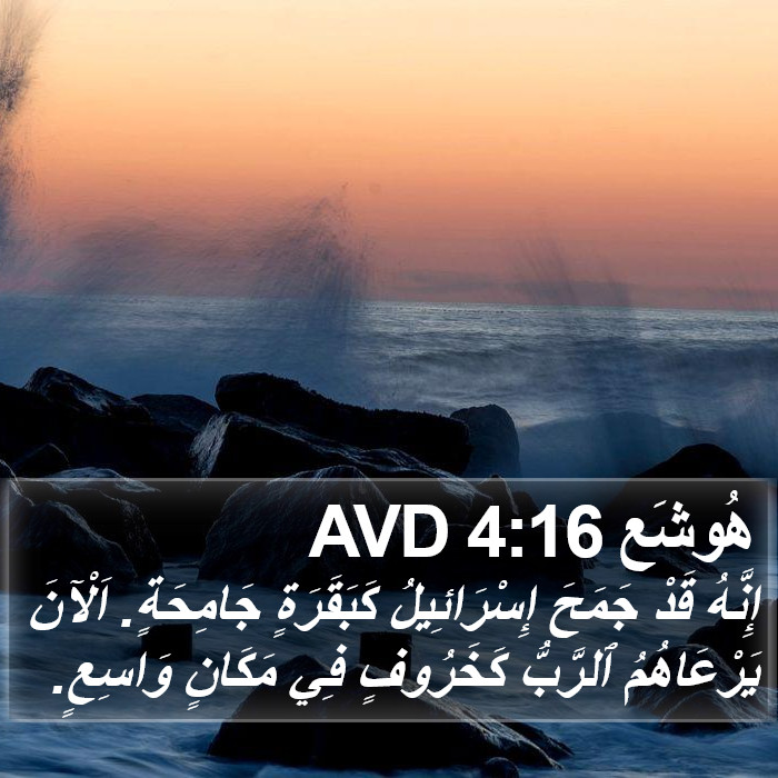 هُوشَع 4:16 AVD Bible Study