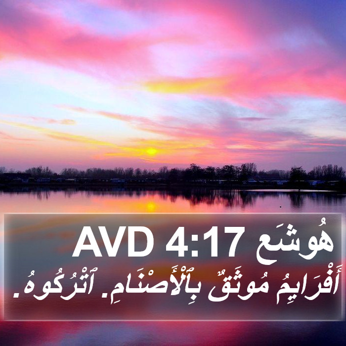 هُوشَع 4:17 AVD Bible Study