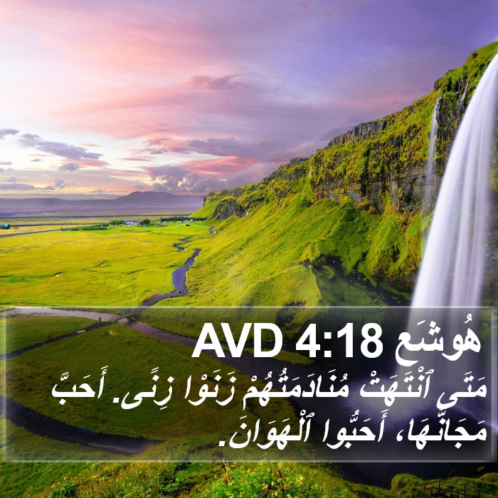 هُوشَع 4:18 AVD Bible Study