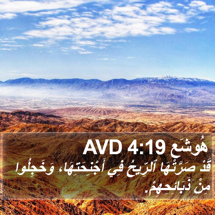 هُوشَع 4:19 AVD Bible Study