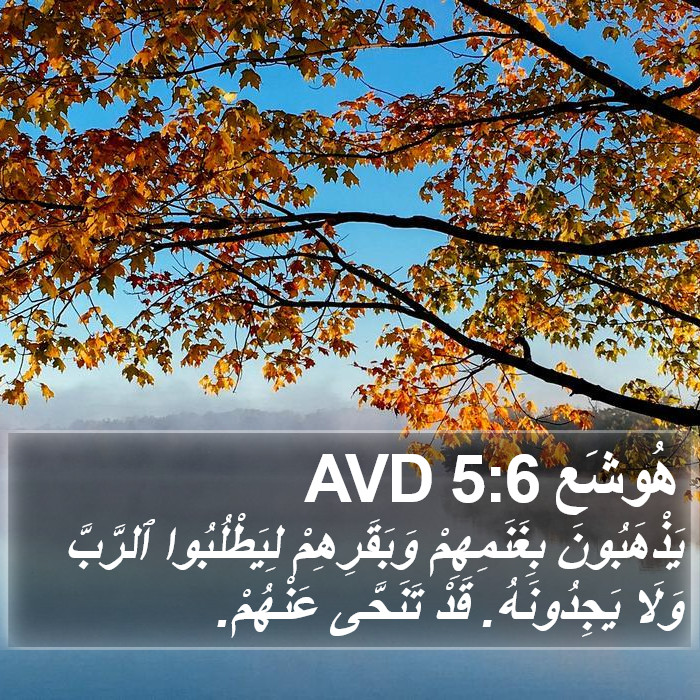 هُوشَع 5:6 AVD Bible Study