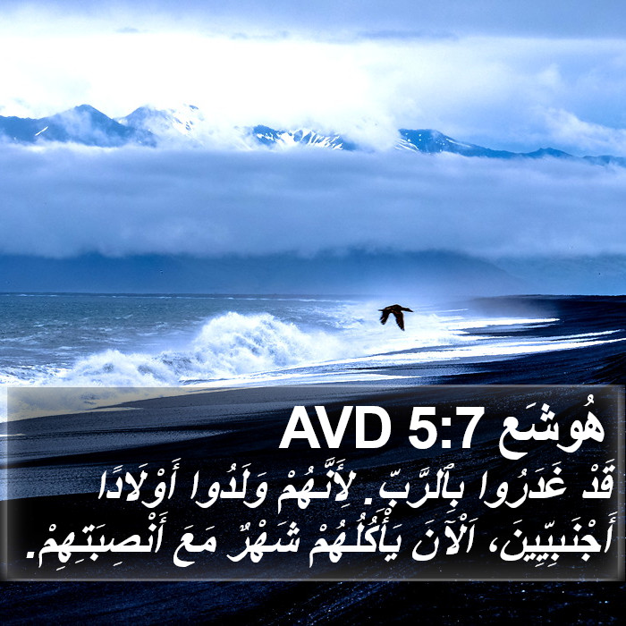 هُوشَع 5:7 AVD Bible Study