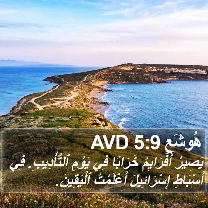 هُوشَع 5:9 AVD Bible Study