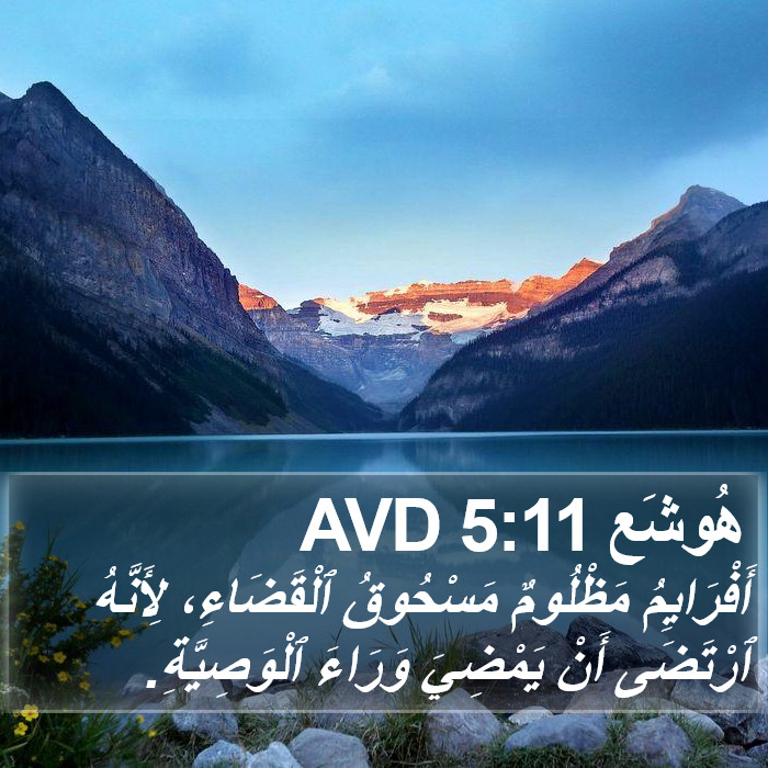 هُوشَع 5:11 AVD Bible Study