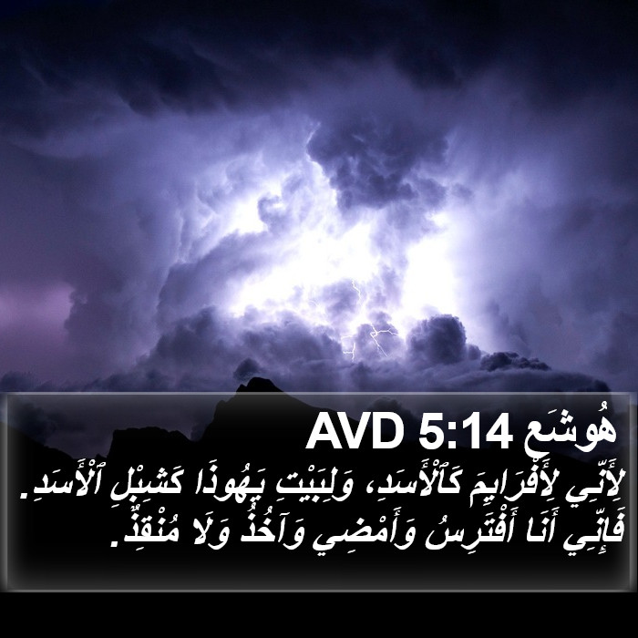 هُوشَع 5:14 AVD Bible Study