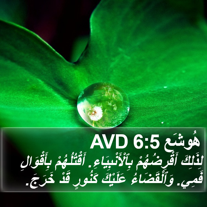 هُوشَع 6:5 AVD Bible Study