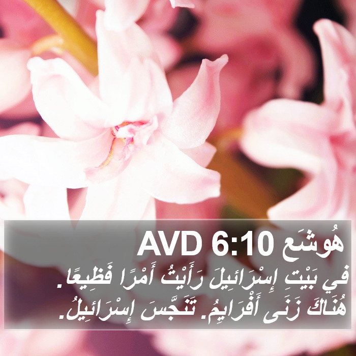 هُوشَع 6:10 AVD Bible Study