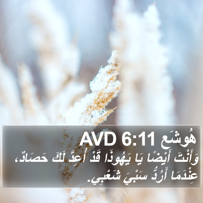 هُوشَع 6:11 AVD Bible Study