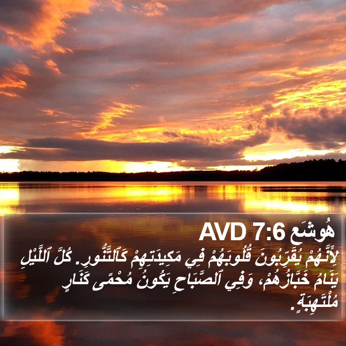 هُوشَع 7:6 AVD Bible Study