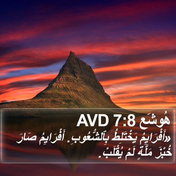 هُوشَع 7:8 AVD Bible Study