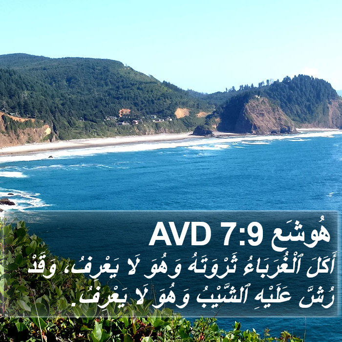 هُوشَع 7:9 AVD Bible Study