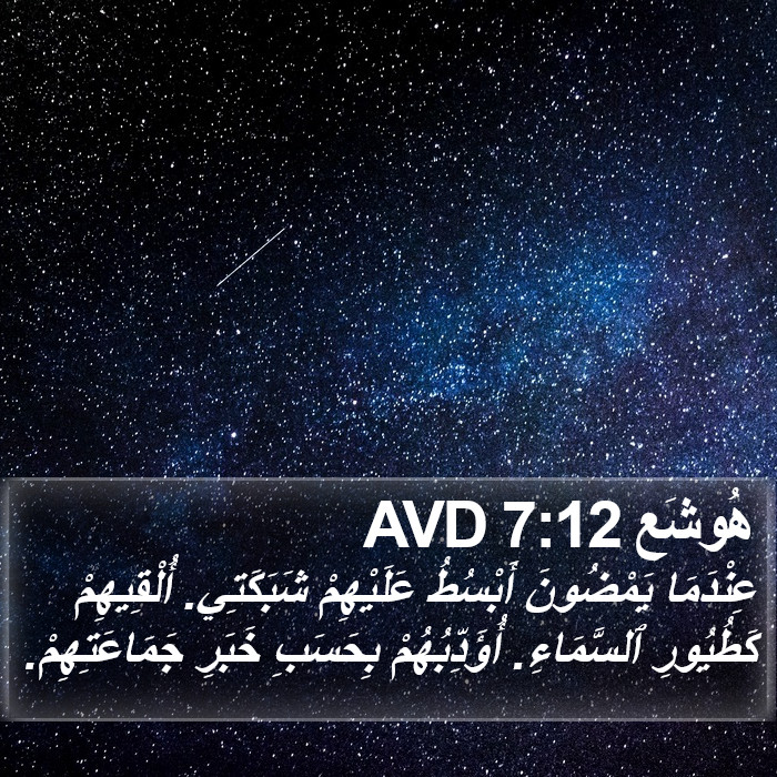 هُوشَع 7:12 AVD Bible Study