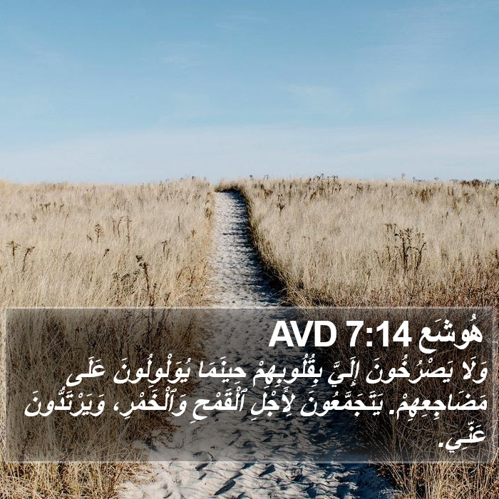 هُوشَع 7:14 AVD Bible Study