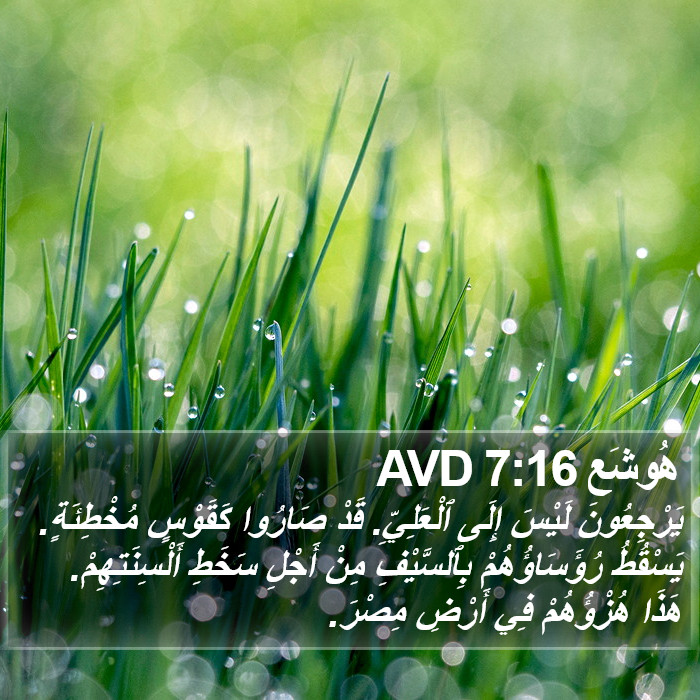 هُوشَع 7:16 AVD Bible Study