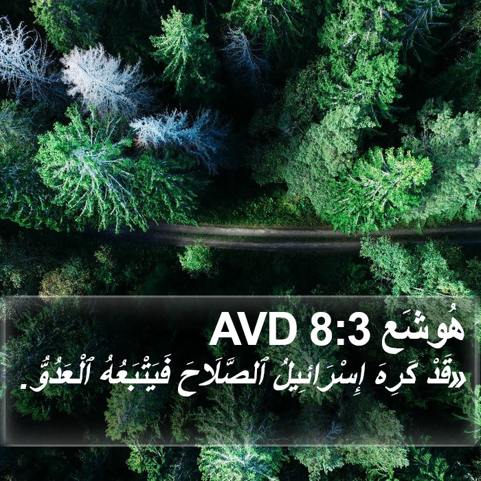 هُوشَع 8:3 AVD Bible Study