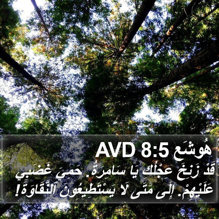 هُوشَع 8:5 AVD Bible Study