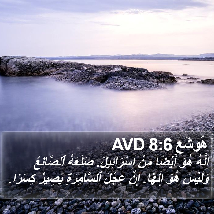 هُوشَع 8:6 AVD Bible Study