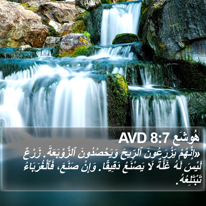 هُوشَع 8:7 AVD Bible Study