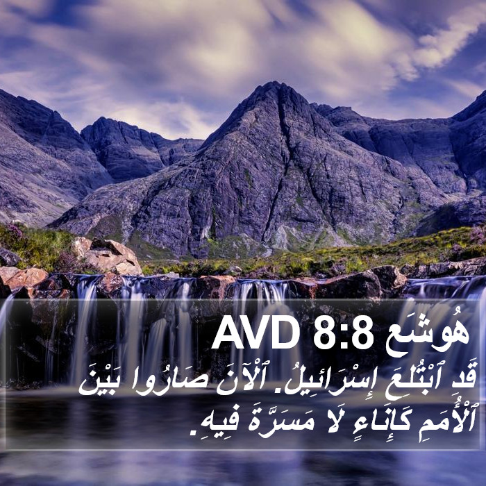 هُوشَع 8:8 AVD Bible Study