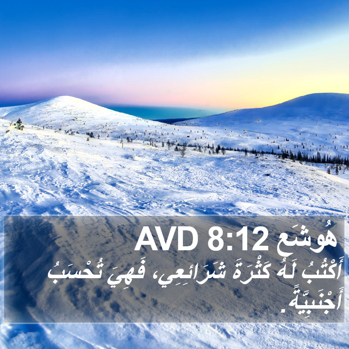 هُوشَع 8:12 AVD Bible Study