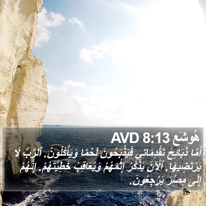 هُوشَع 8:13 AVD Bible Study