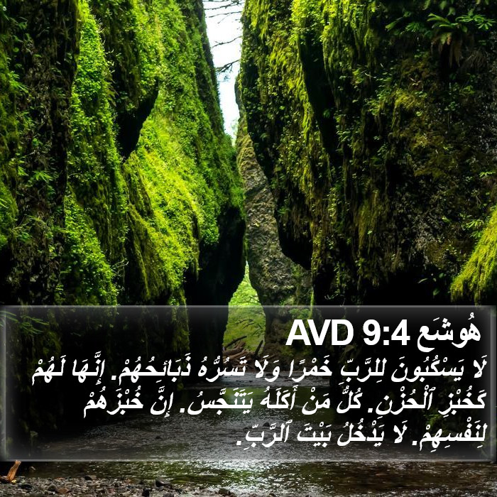 هُوشَع 9:4 AVD Bible Study