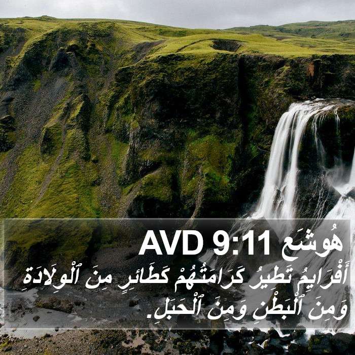 هُوشَع 9:11 AVD Bible Study