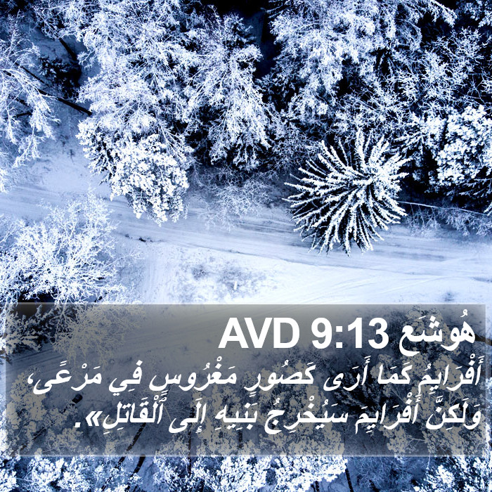 هُوشَع 9:13 AVD Bible Study