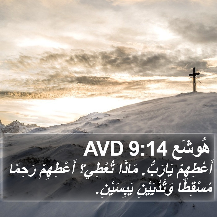 هُوشَع 9:14 AVD Bible Study