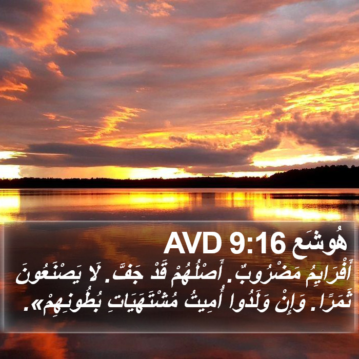 هُوشَع 9:16 AVD Bible Study